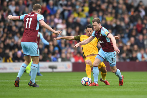 试新组合的 试新组合的