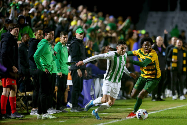 的表现和坚 的表现和坚